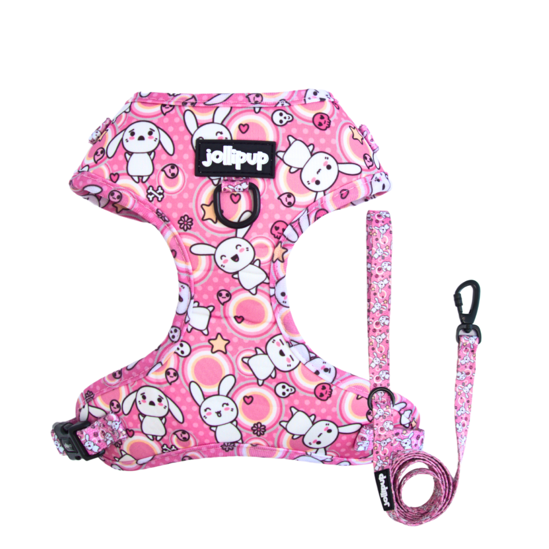 Conjunto de arnés y correa con dibujos de Kawaii Doodles
