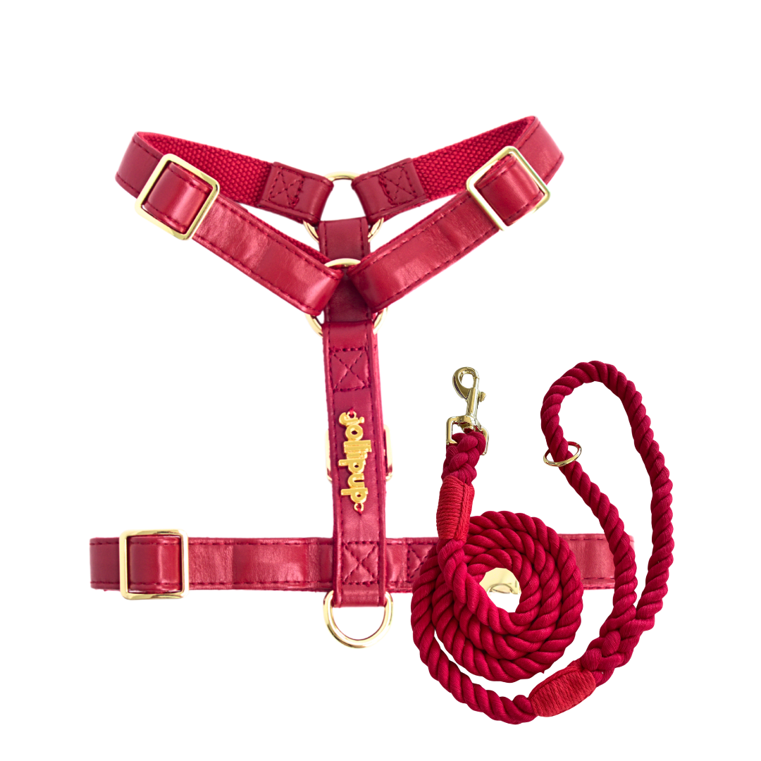 Vegan Leather Harness & Braided Rope Leash Bundle