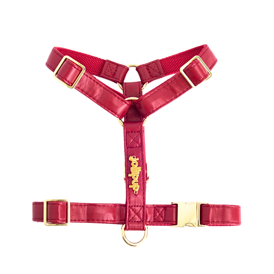 Vegan Leather Harness & Braided Rope Leash Bundle