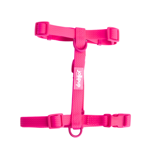 All-Weather PVC Harness
