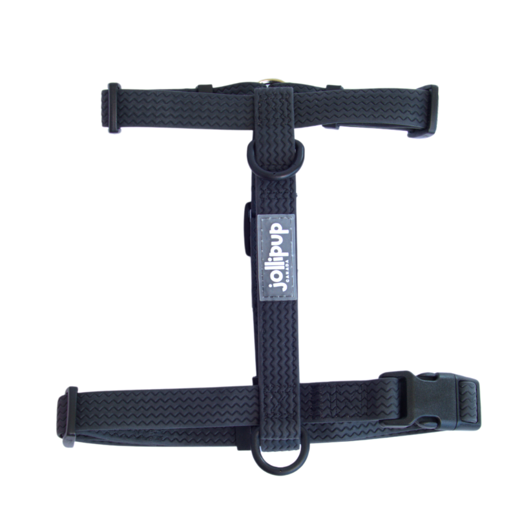 All-Weather PVC Harness