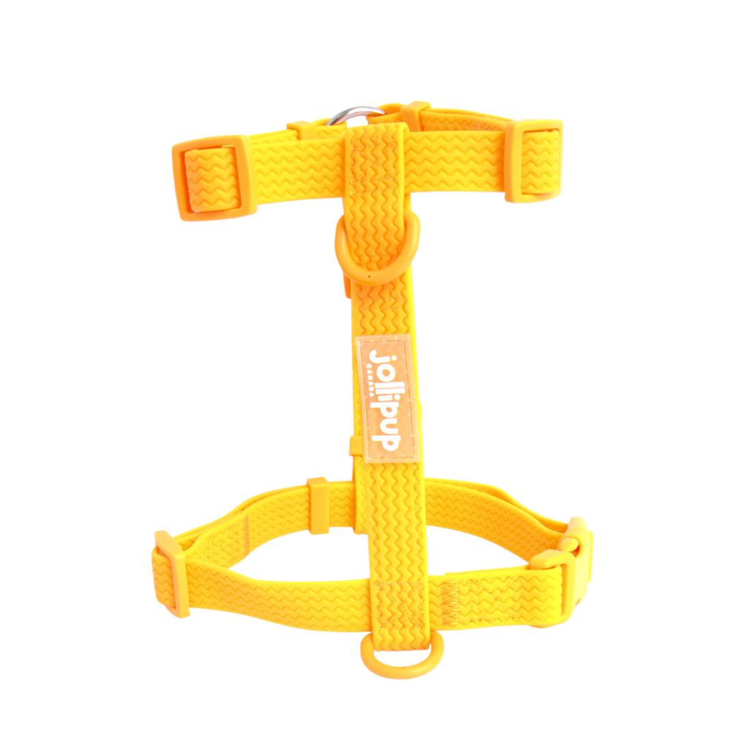 All-Weather PVC Harness