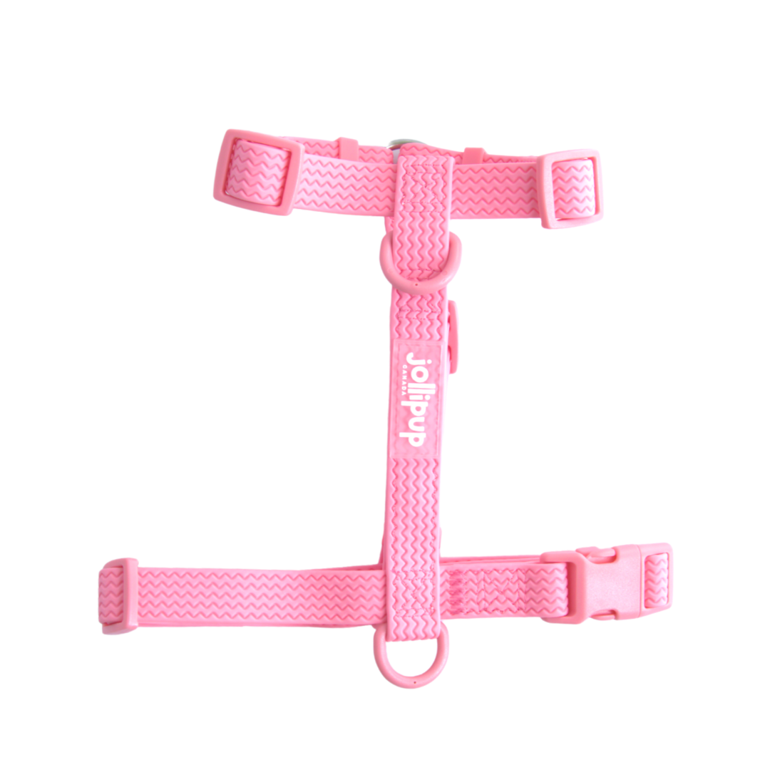 All-Weather PVC Harness