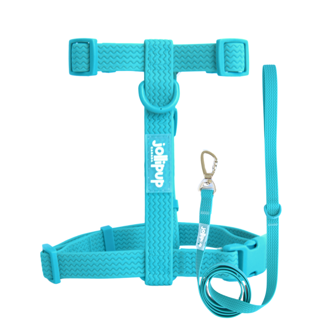 All-Weather PVC Harness