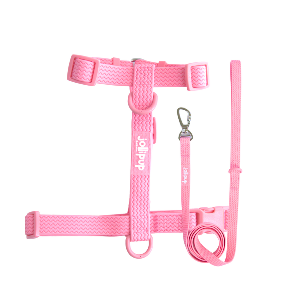All-Weather PVC Leash, 1.5m/150cm
