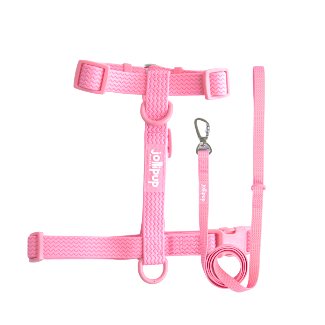 All-Weather PVC Leash, 1.5m/150cm