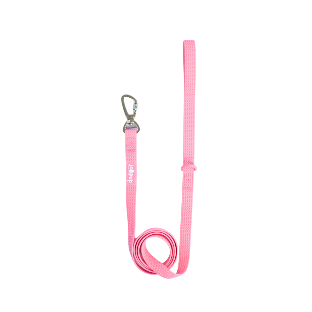 All-Weather PVC Leash, 1.5m/150cm