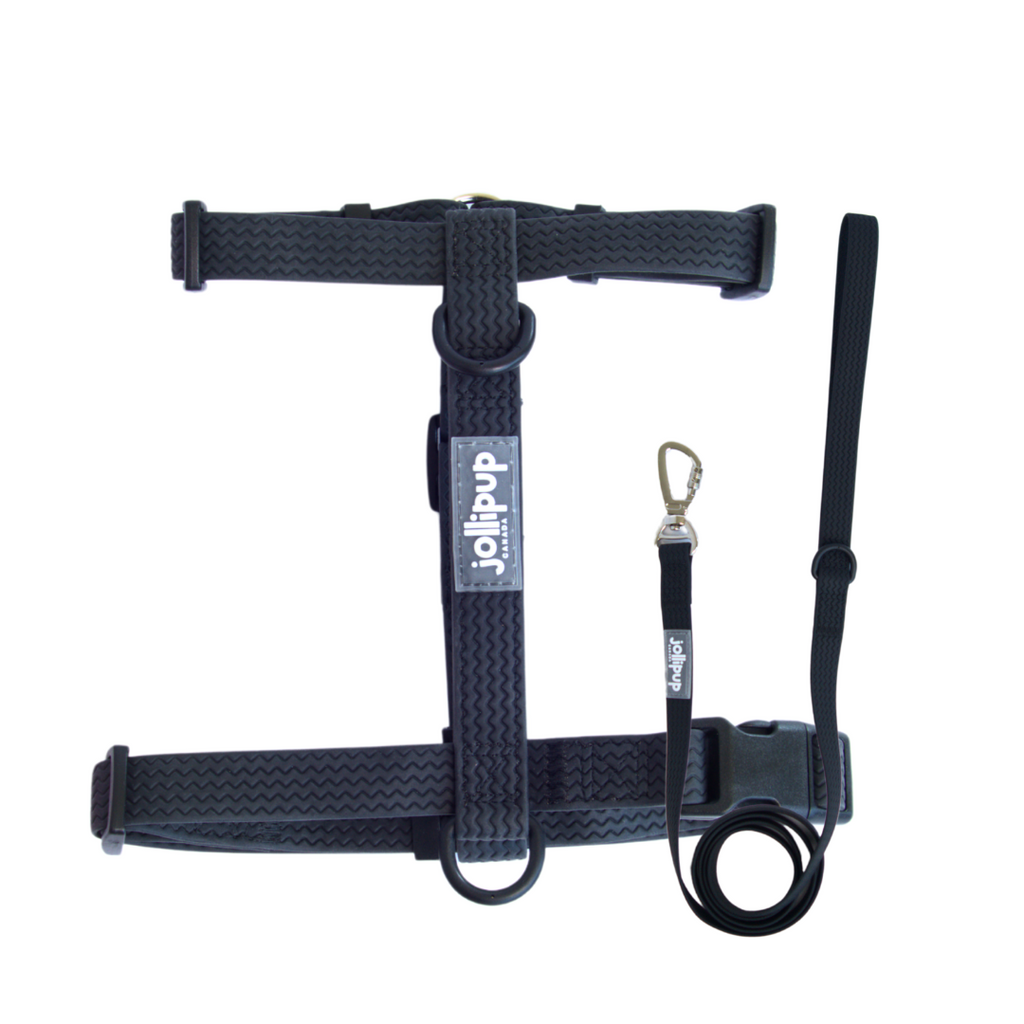 All-Weather PVC Leash, 1.5m/150cm