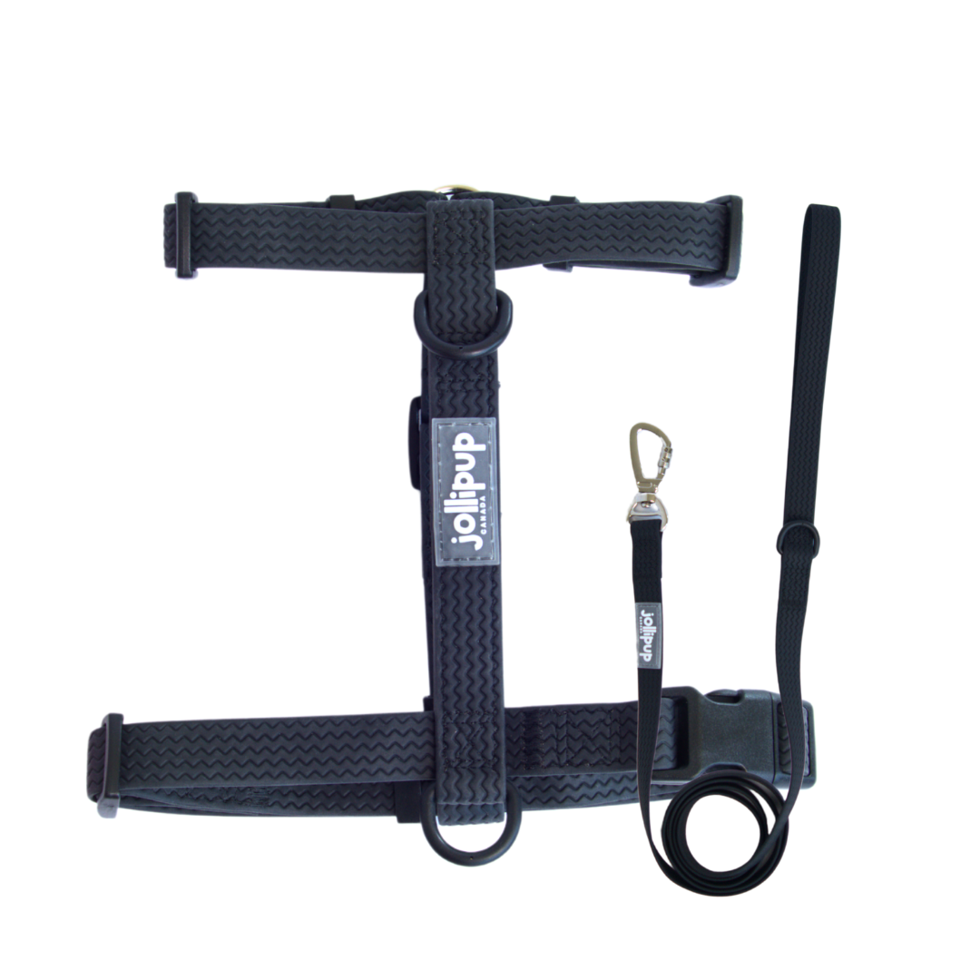 All-Weather PVC Leash, 1.5m/150cm