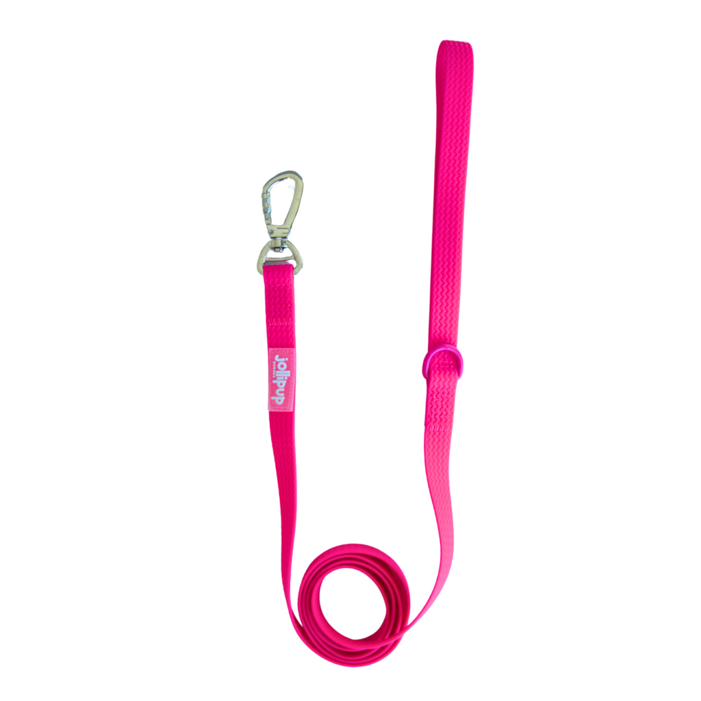 All-Weather PVC Leash, 1.5m/150cm