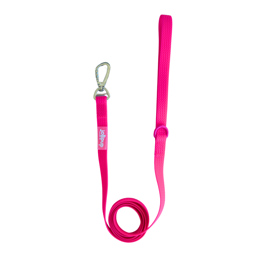 All-Weather PVC Leash, 1.5m/150cm