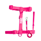 All-Weather PVC Leash, 1.5m/150cm