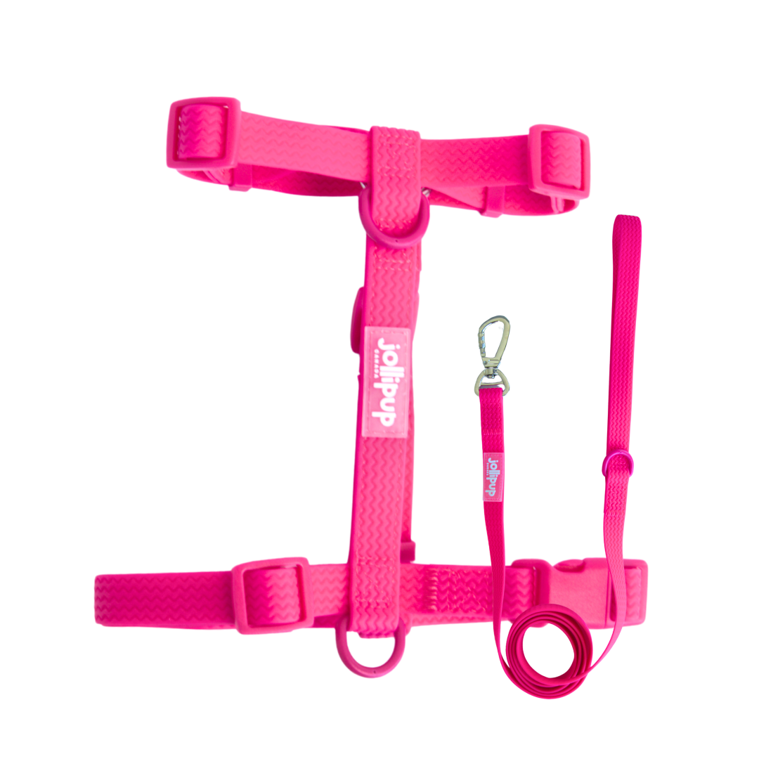 All-Weather PVC Leash, 1.5m/150cm