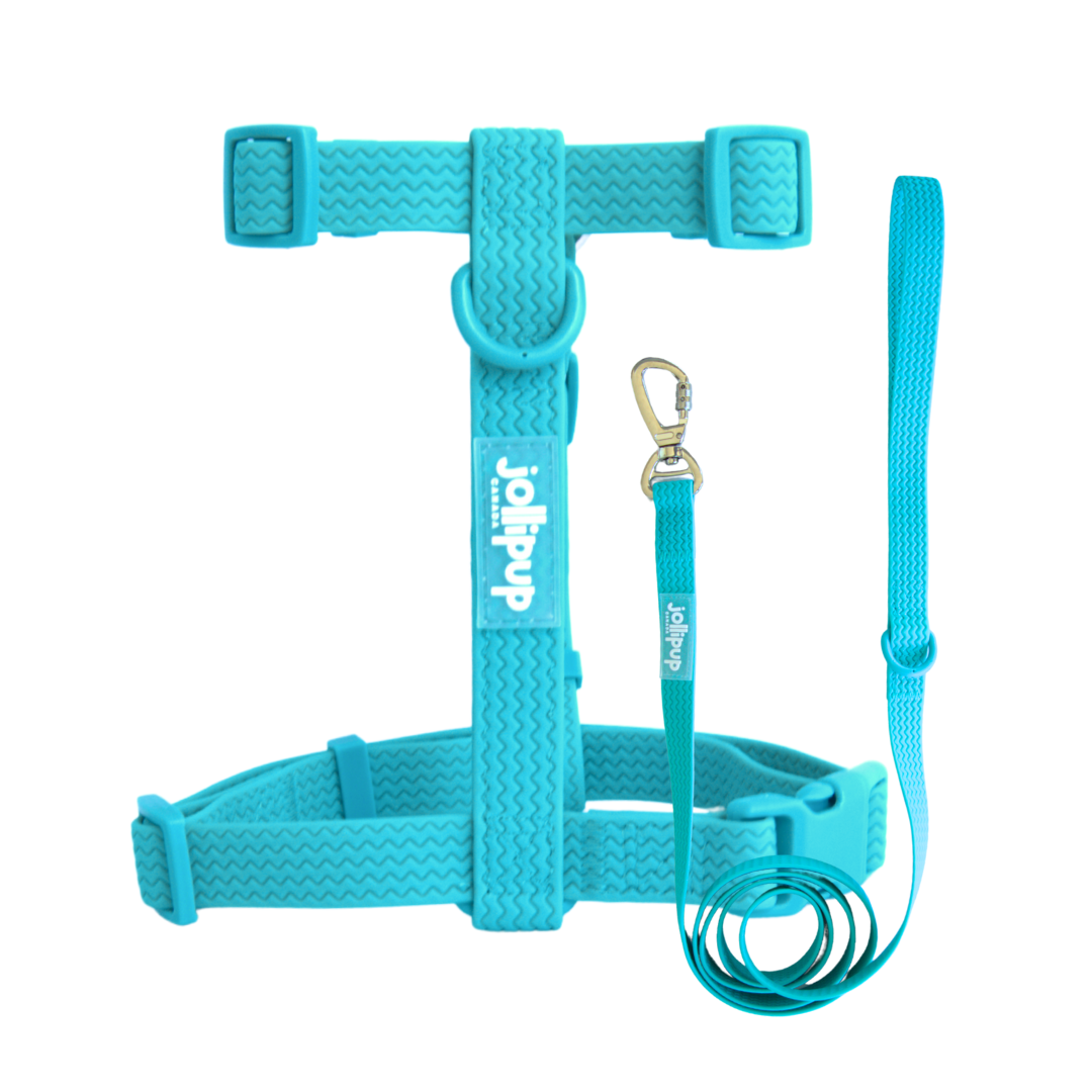 All-Weather PVC Leash, 1.5m/150cm
