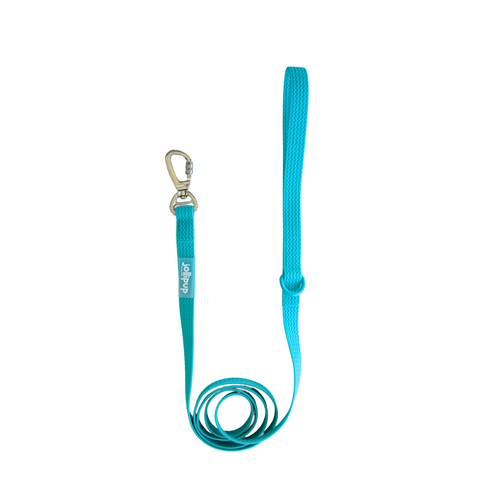 All-Weather PVC Leash, 1.5m/150cm
