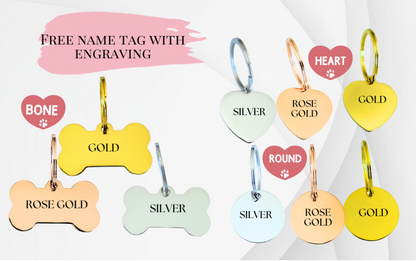 Bee-Happy Step In Harness & Leash Bundle