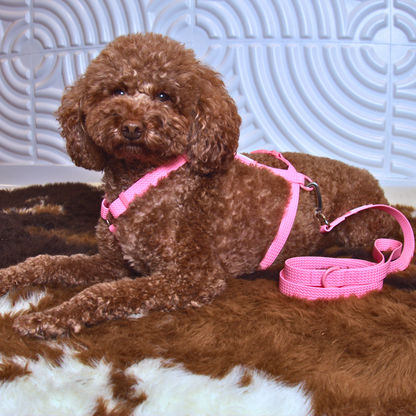 All-Weather PVC Harness & Leash Bundle