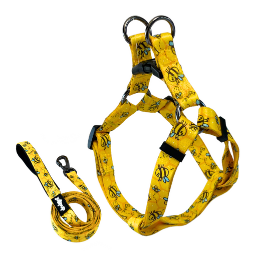 Bee-Happy Step In Harness & Leash Bundle