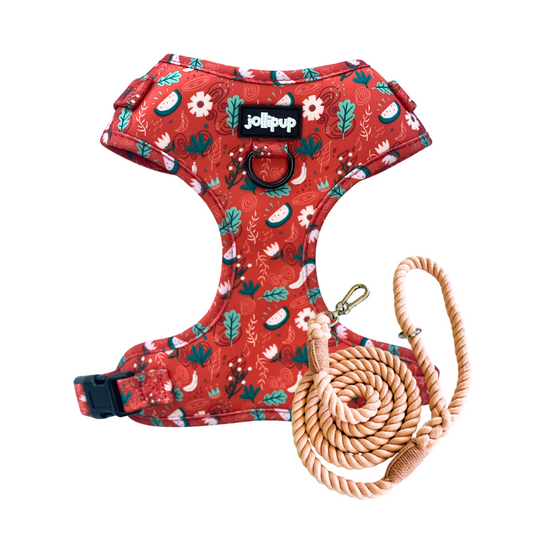 Red Charm Harness & Braided Rope Leash Bundle