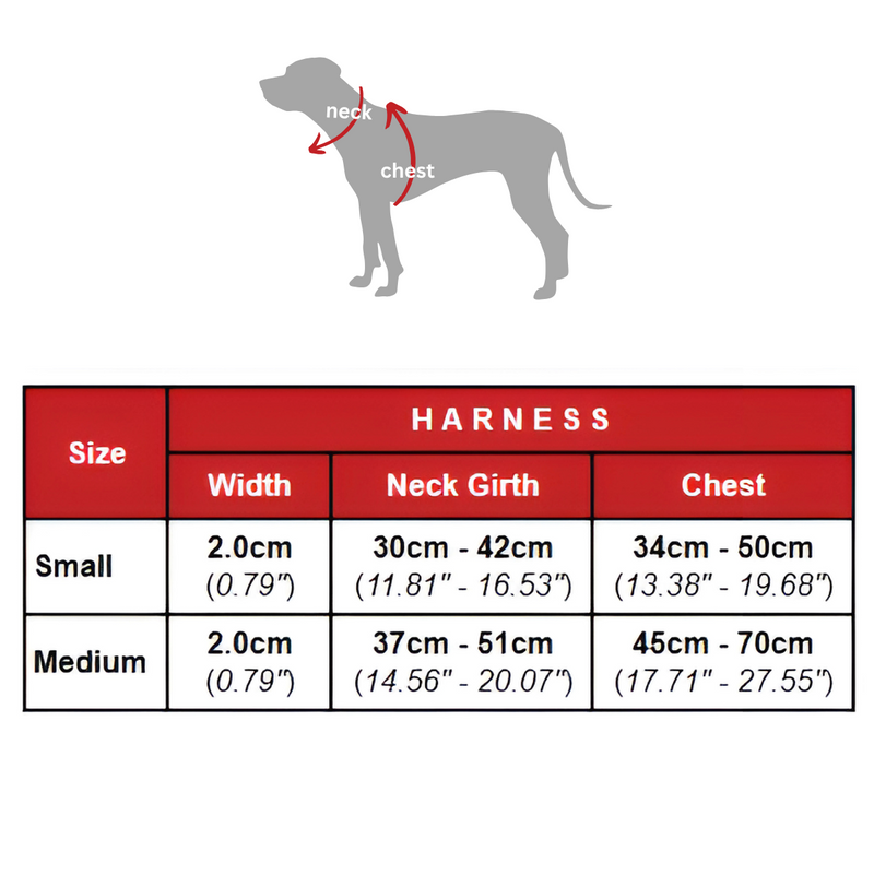 Size chart for Harnais en cuir végétalien