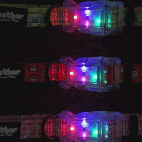 LED light collar with Speed Racer design, enhances pet safety - Kostbar Pet Club
