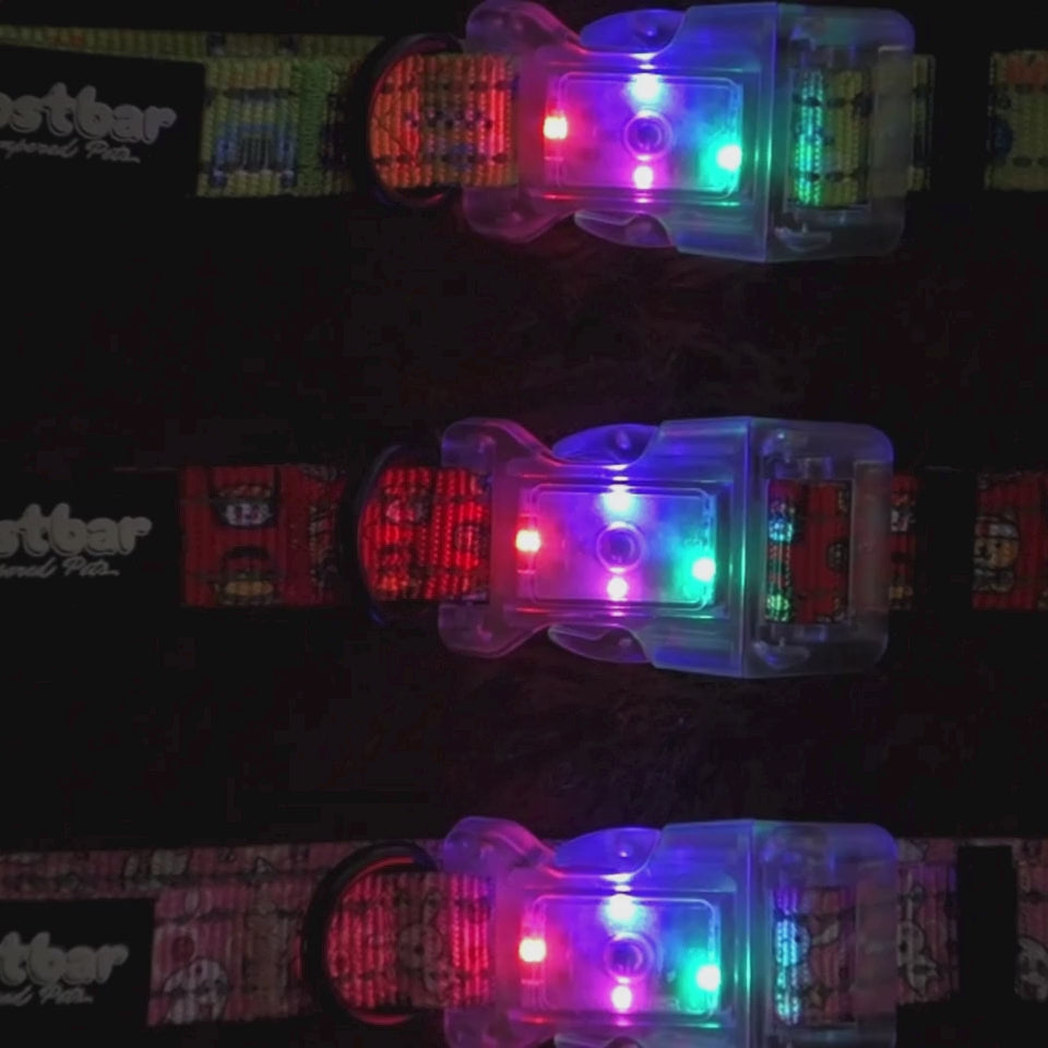 LED light collar with Speed Racer design, enhances pet safety - Kostbar Pet Club

