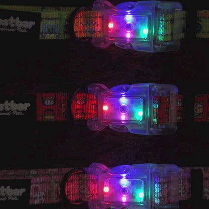LED light collar with Speed Racer design, enhances pet safety - Kostbar Pet Club
